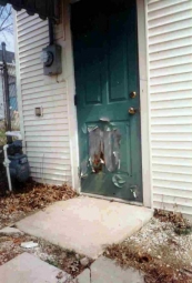 Door Problems Peeling Paint Door Lima, Oh