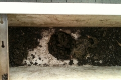 Gutter Problems Garner Before 02 Goshen, IN