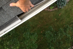 Gutter Problems 3137 Elkhart, IN