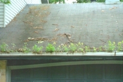 Gutter Problems Screen Shot 3 Elkhart, IN