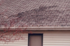 Roofing Problems 12 Goshen, IN