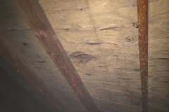 Roofing Problems 3 Goshen, IN