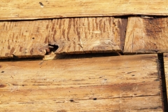 Roofing Problems 9 Goshen, IN