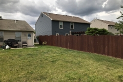 Siding Before And After Beard 11