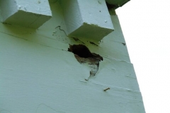 Siding Problems Peeling Paint 2 Elkhart, IN