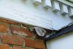 Siding Problems Rotting Wood Elkhart, IN